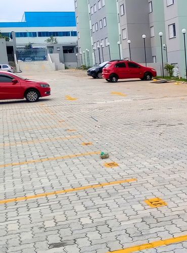 Obra Forte do Rio Branco